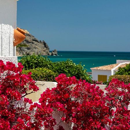 Lemon Tree Apartment Praia Da Luz ภายนอก รูปภาพ